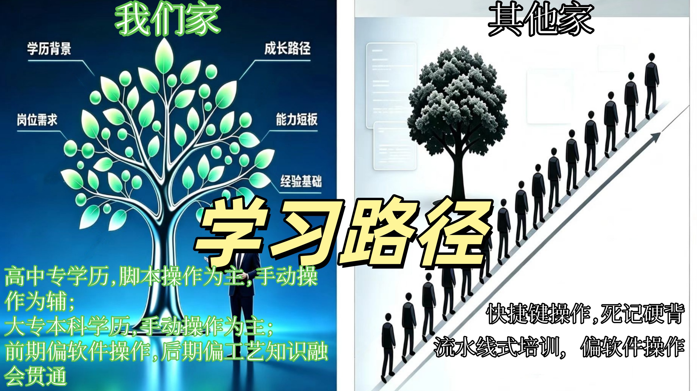 学习路径